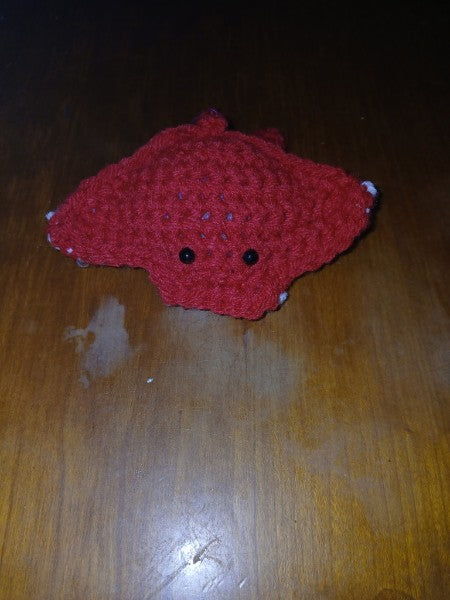 Stingray