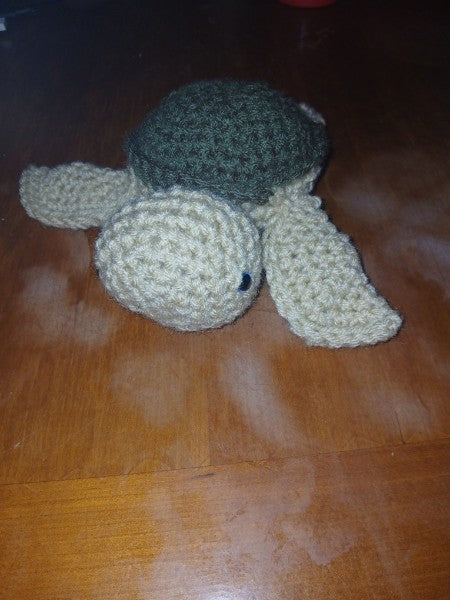 Turtle